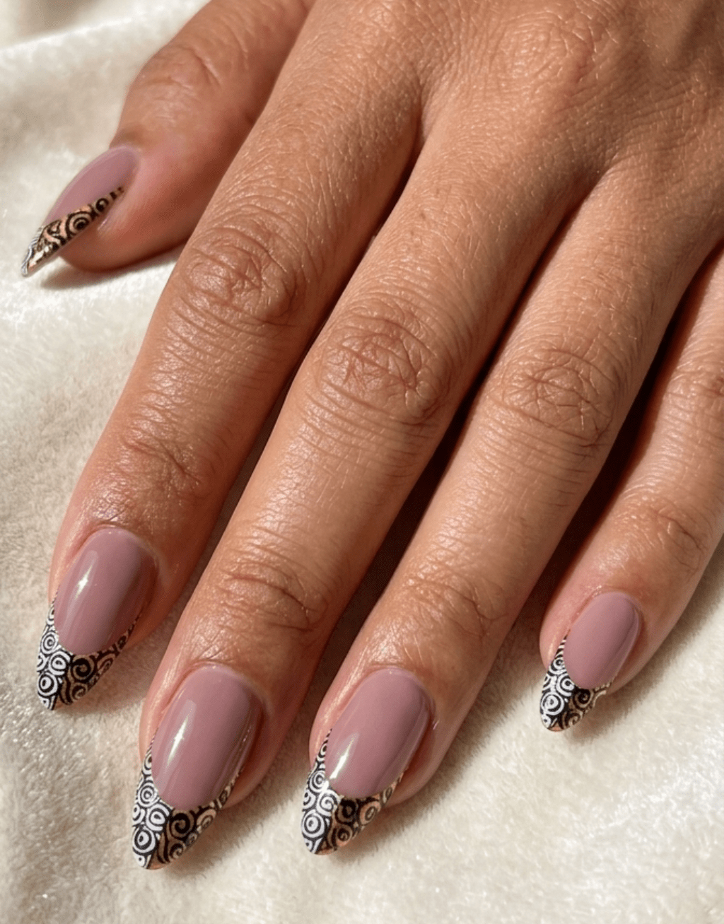 Nile Edit - GN Collections