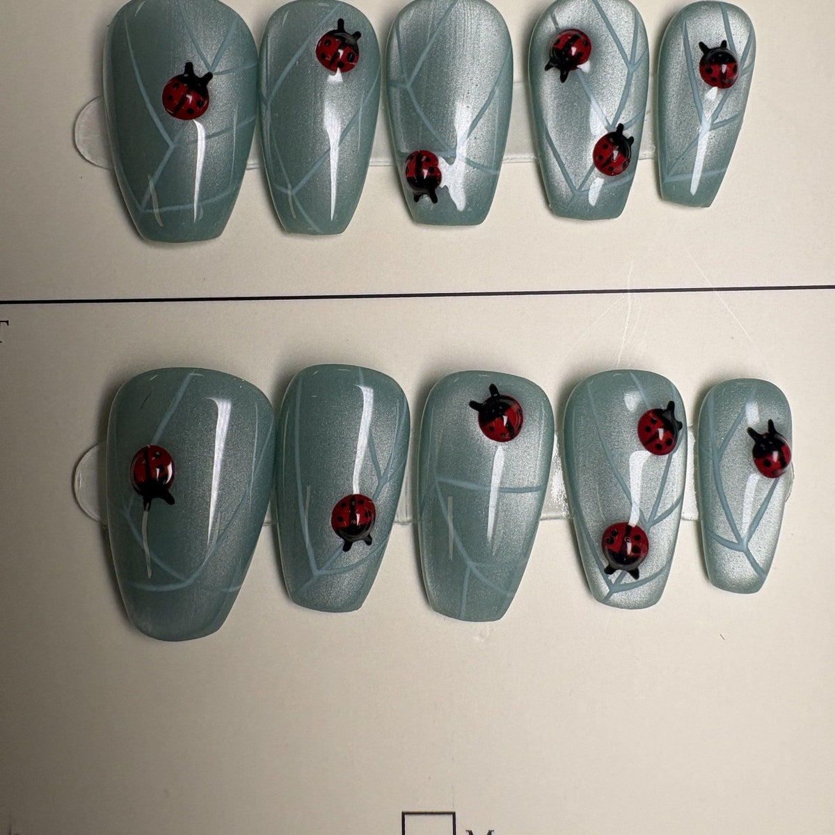 Lucky Ladybug press on nails, coffin. Ready to ship set by GN Collections.